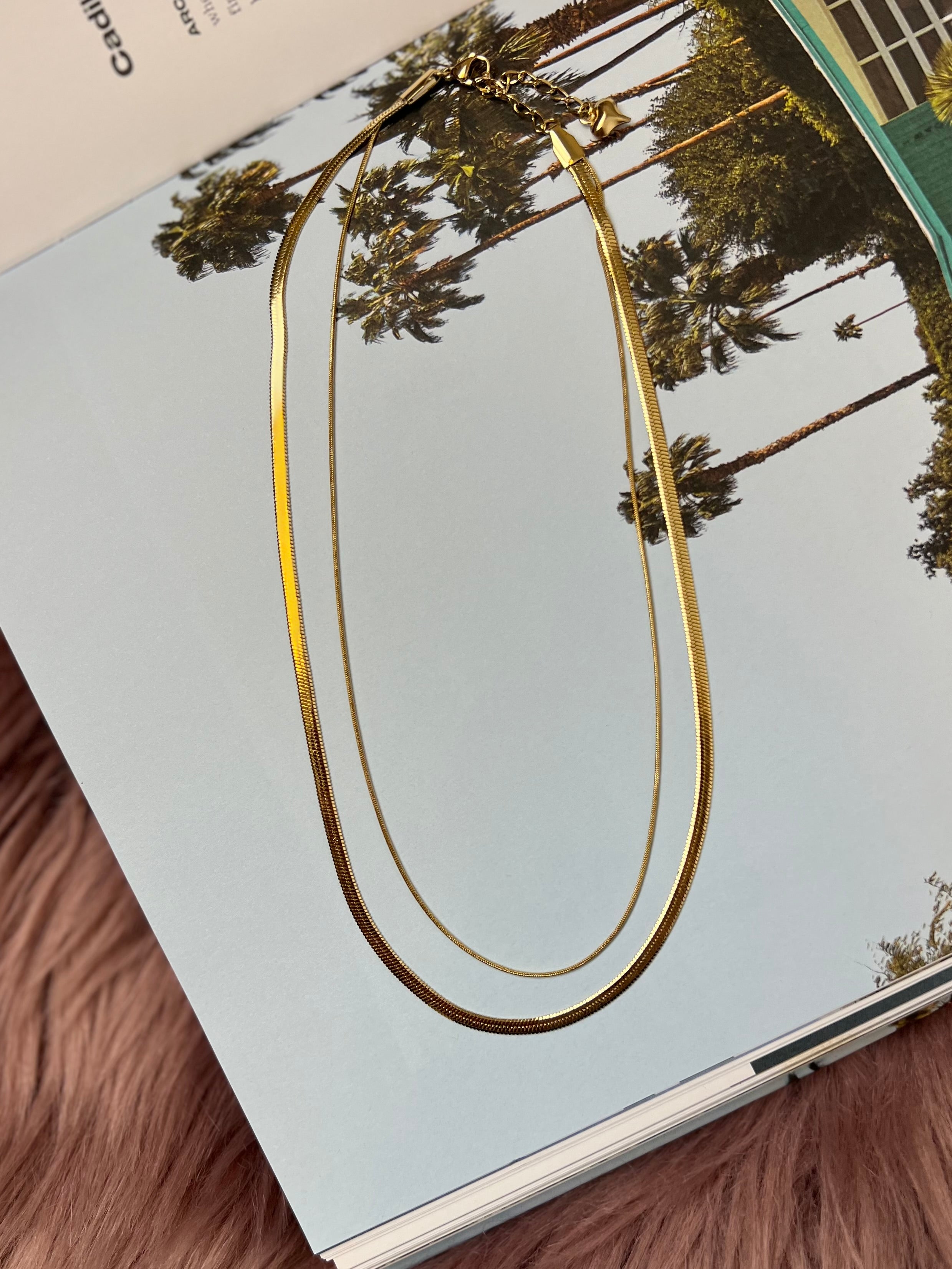 Double Layered Snake Chain