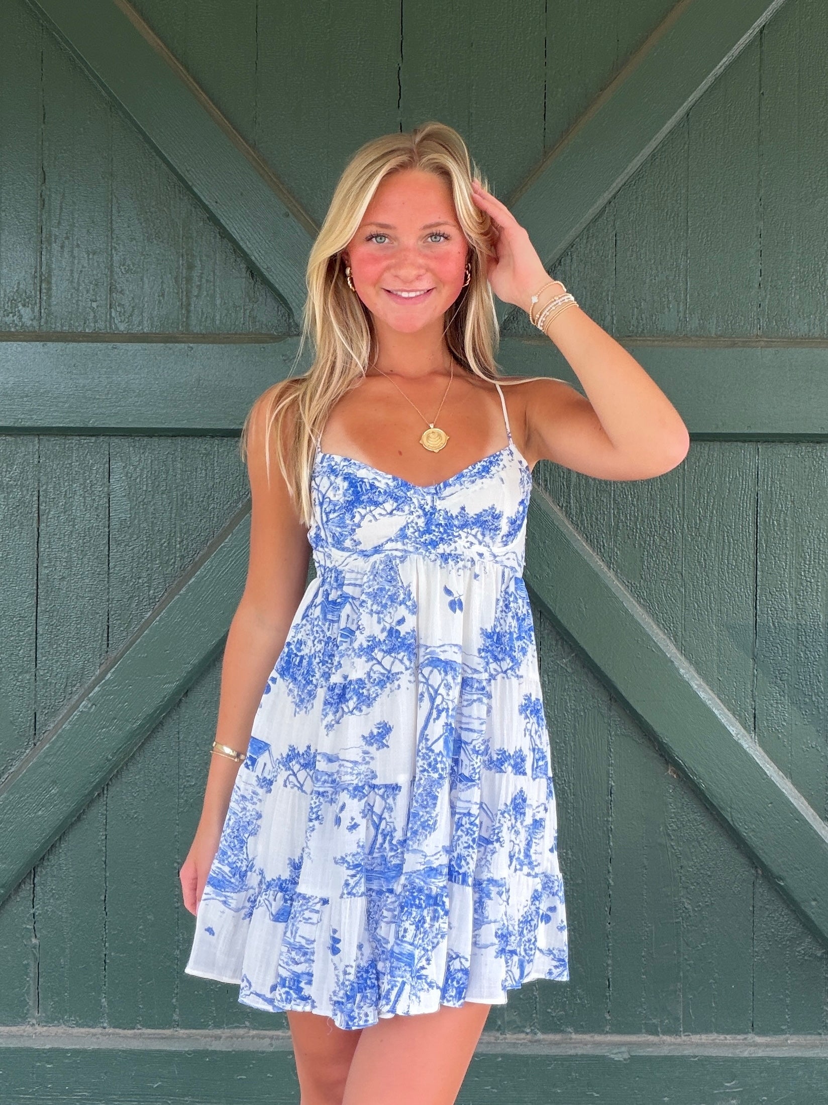 Napa Life Dress-Blue Toile