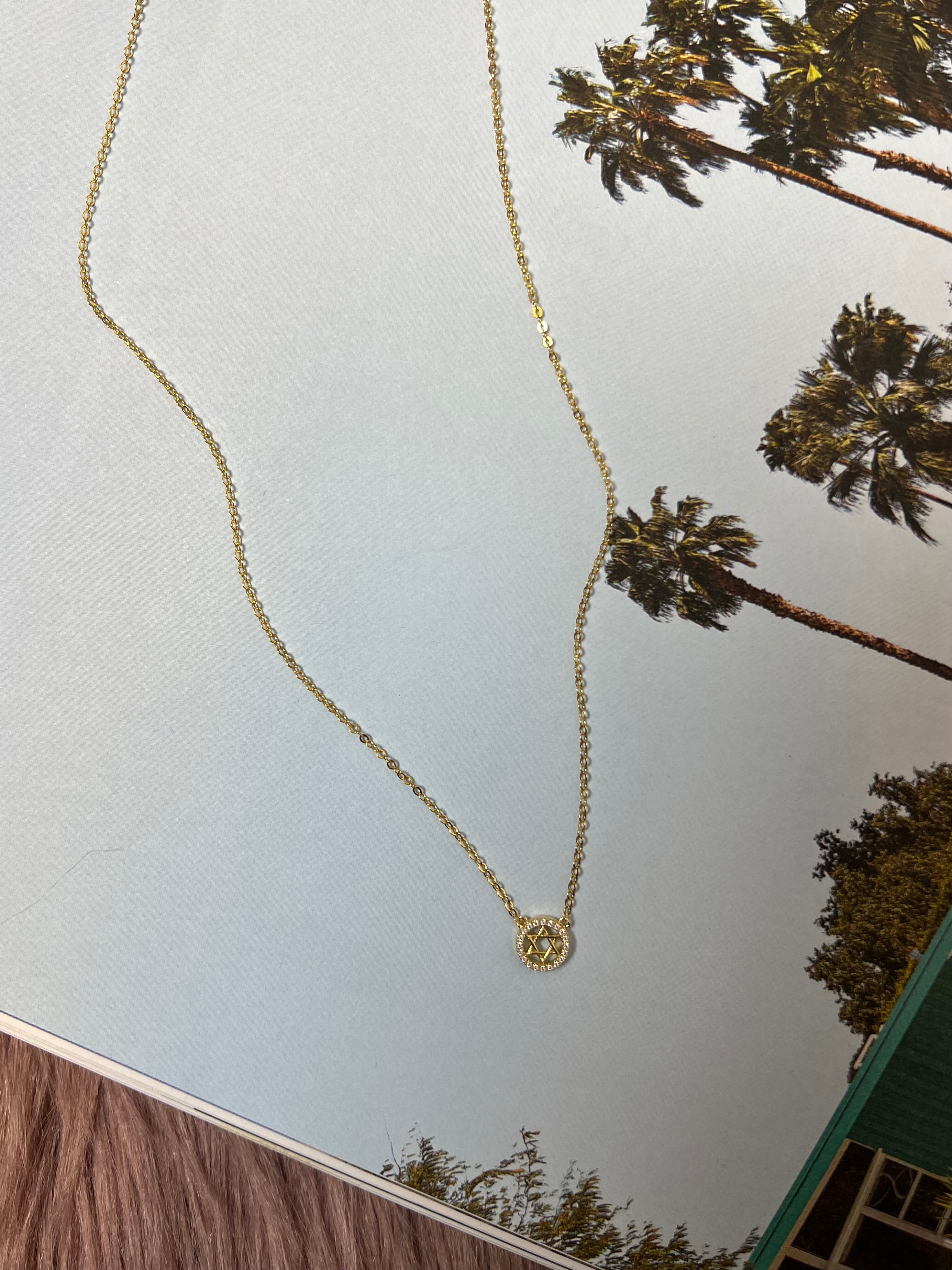 Star Of David in Crystal Circle Necklace
