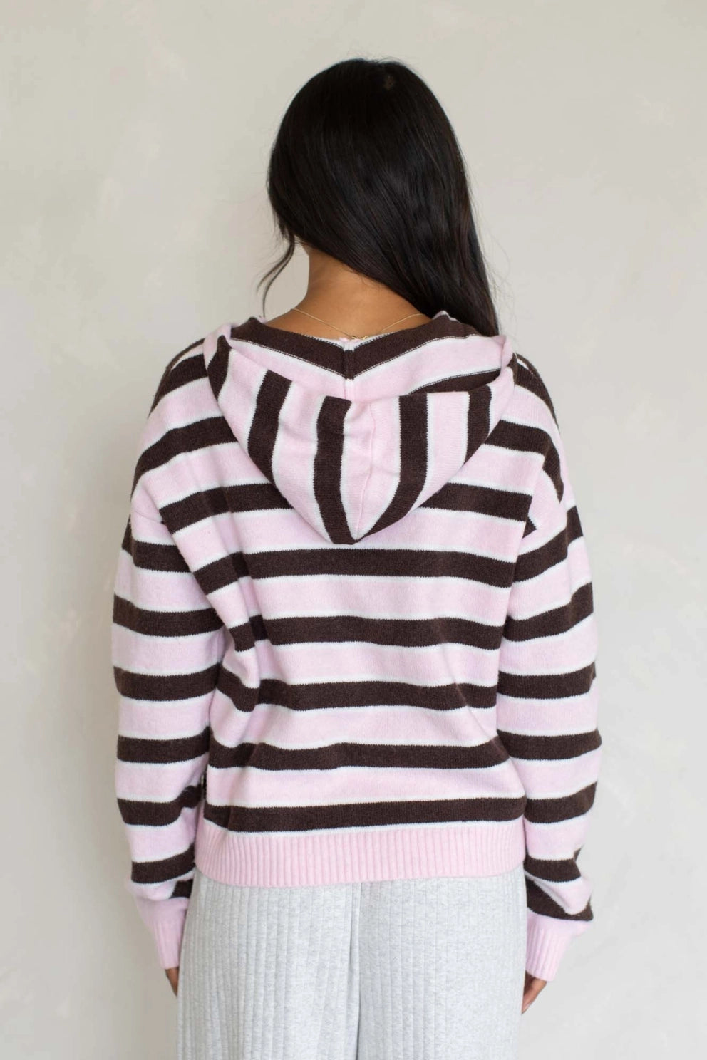 Multi-stripe zip sweater hoodie with hood and ribbed hem, back view.