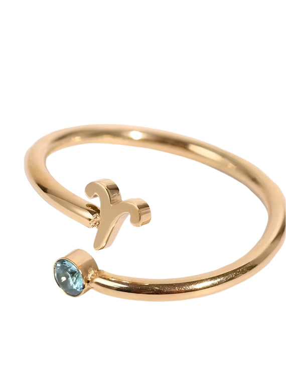 Zodiac Sign Stainless Steel Ring
