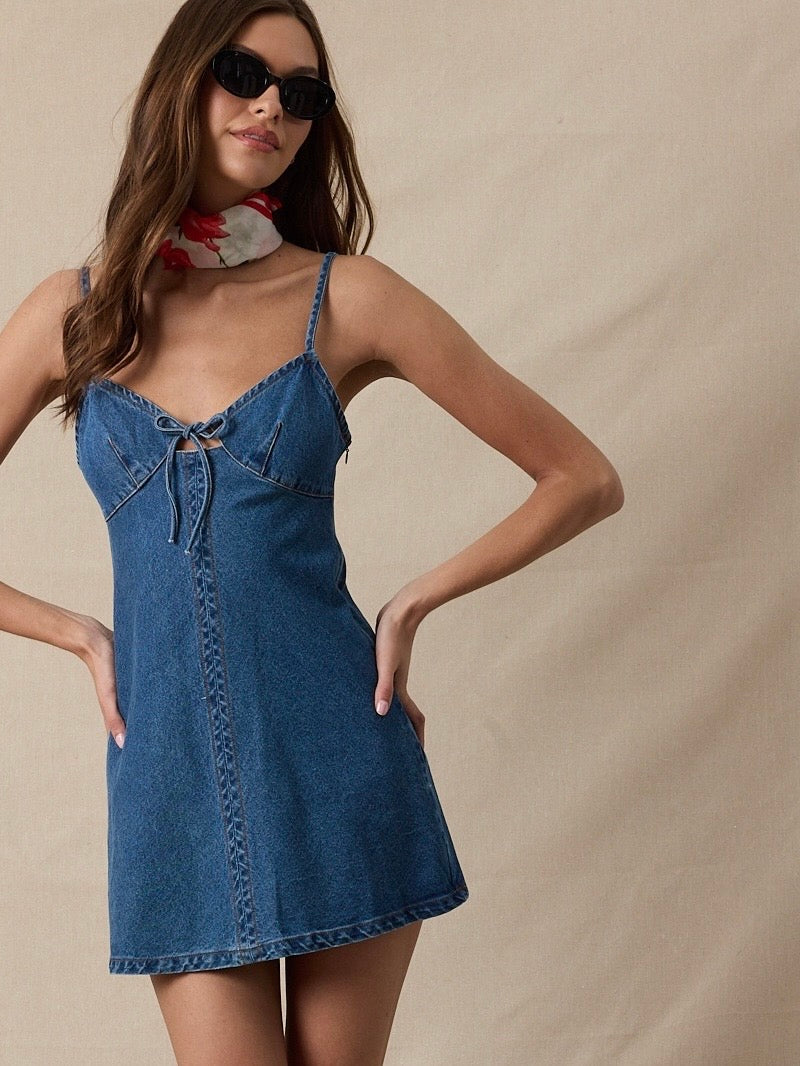 Austin Denim Dress