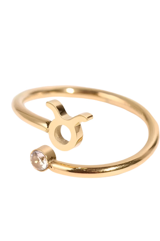 Zodiac Sign Stainless Steel Ring
