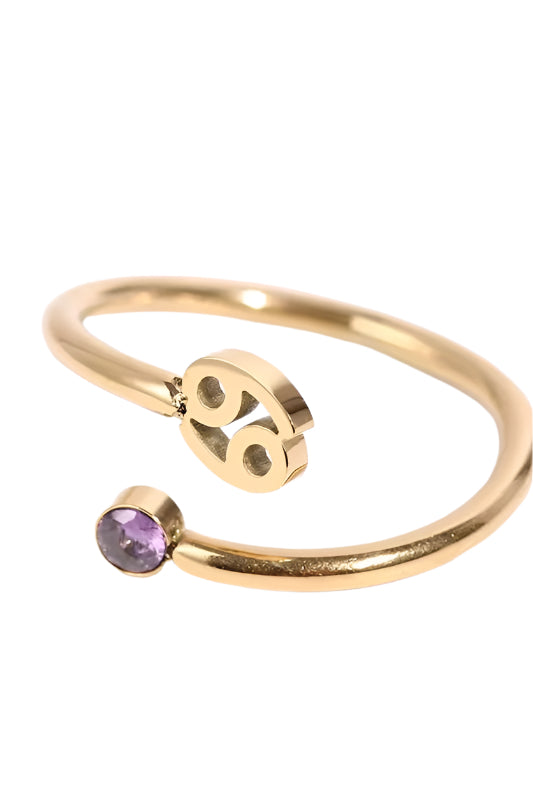 Zodiac Sign Stainless Steel Ring