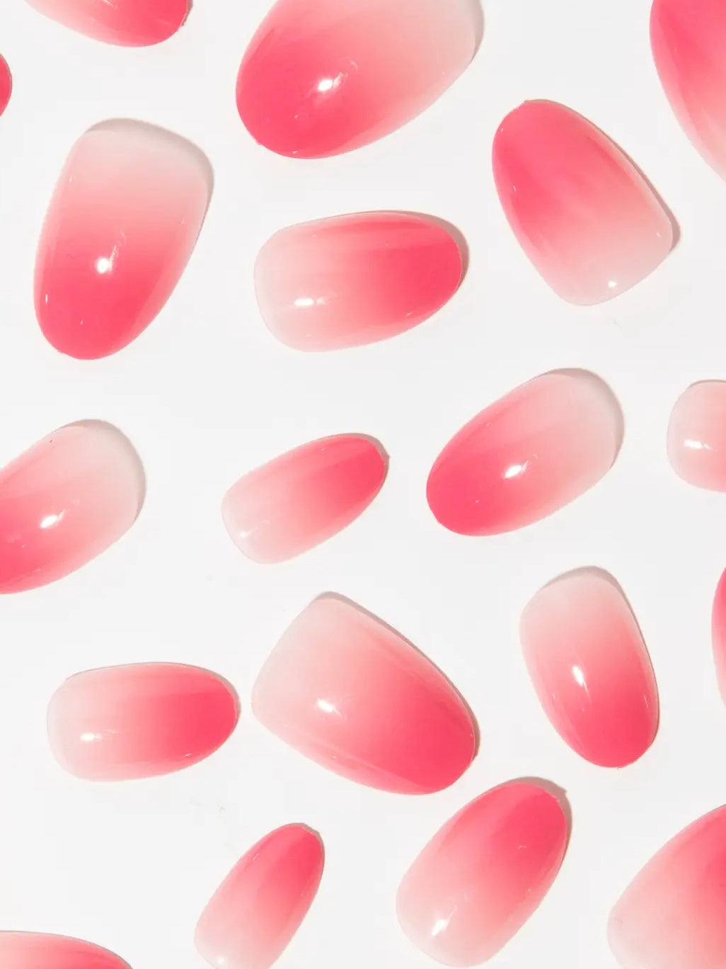 Chill House Sugar Baby