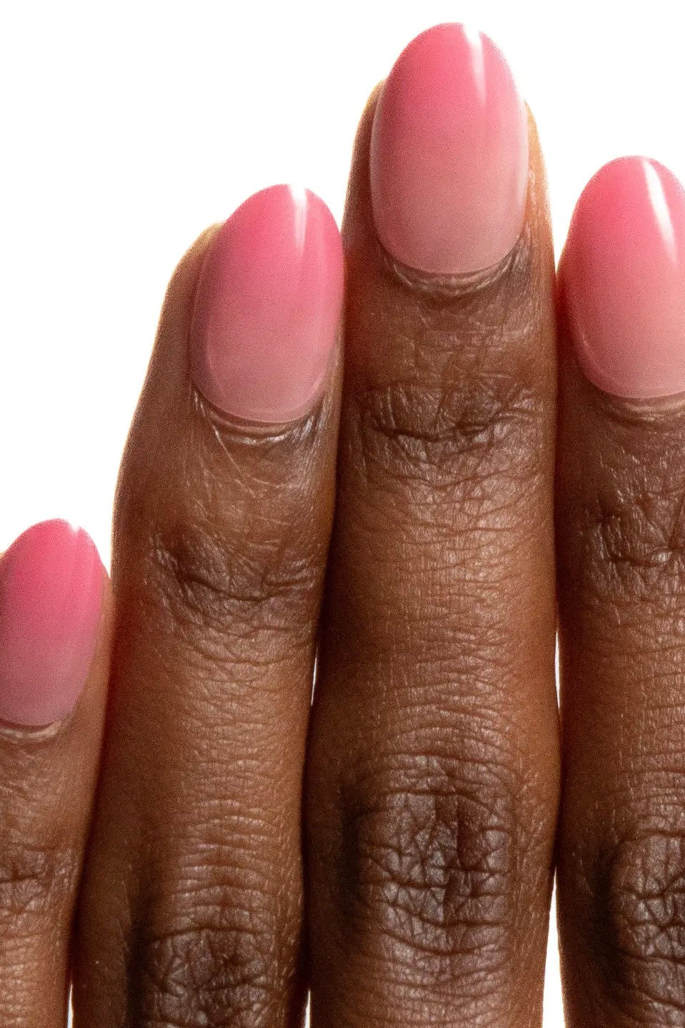 Chill House Sugar Baby