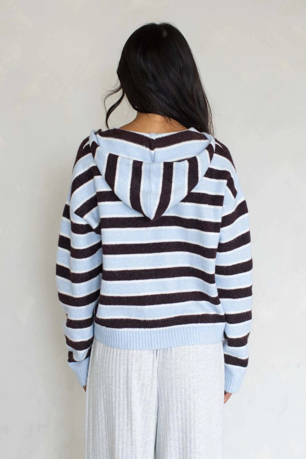 Multi-stripe zip sweater hoodie with hood, back view, ribbed hem and cuffs.