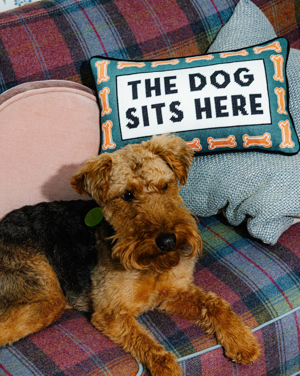 Dog Sits Here Needlepoint Pillow by Furbish Studio
