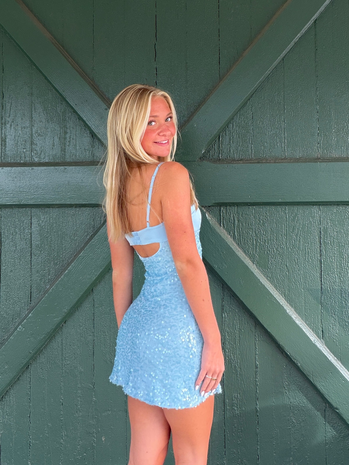 Stella Sequin Mesh Open-Back Mini Dress