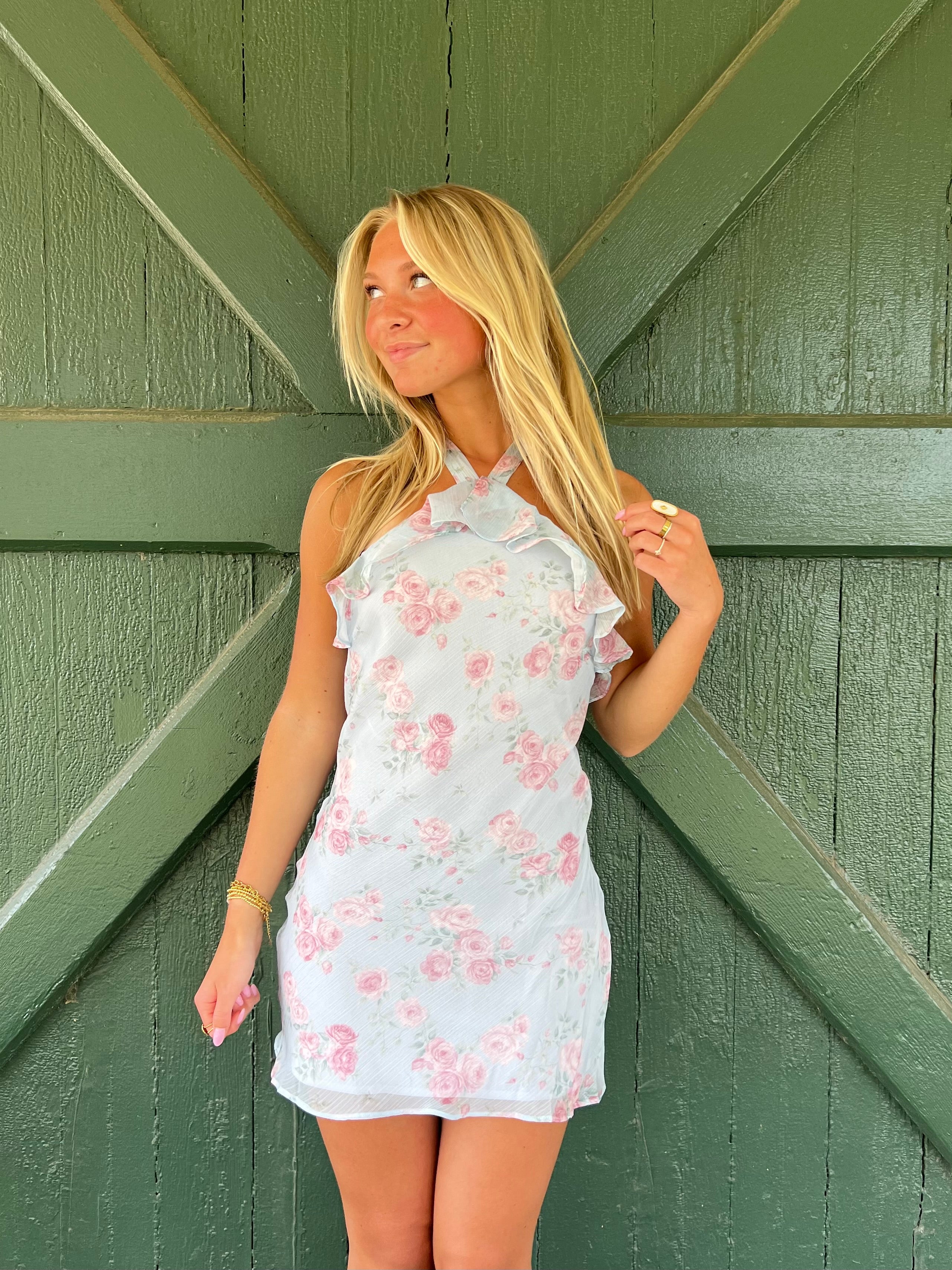 The Meadow Muse Mini Dress