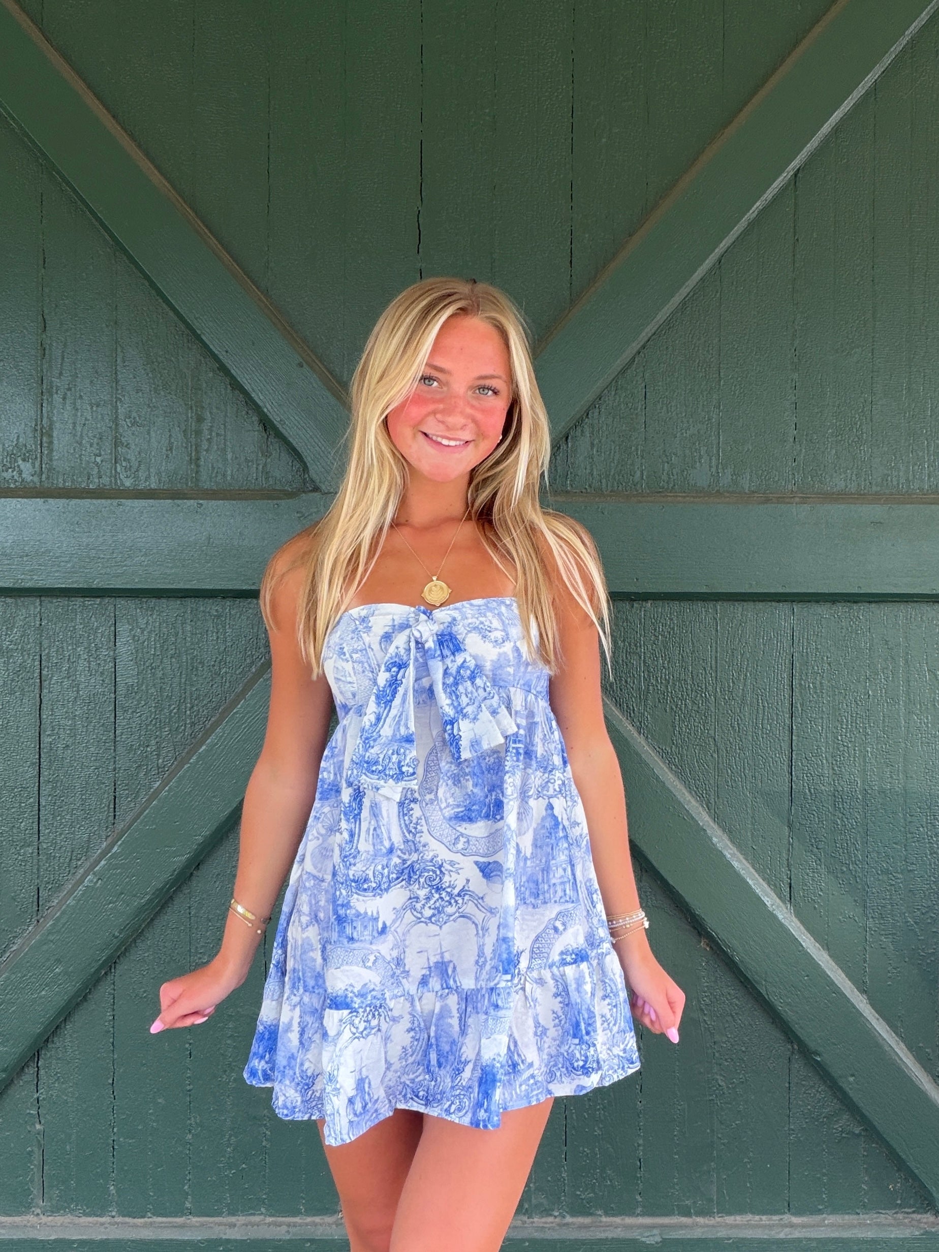 Fiona Blue Toile Strapless Mini Dress