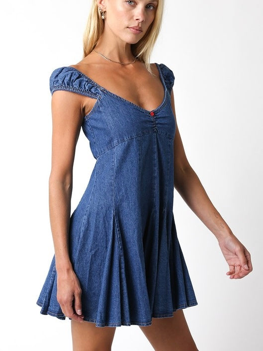 Audrey Denim Dress