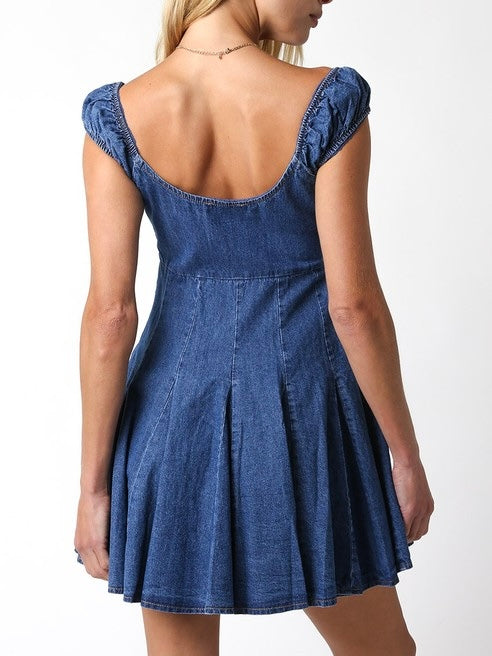 Audrey Denim Dress