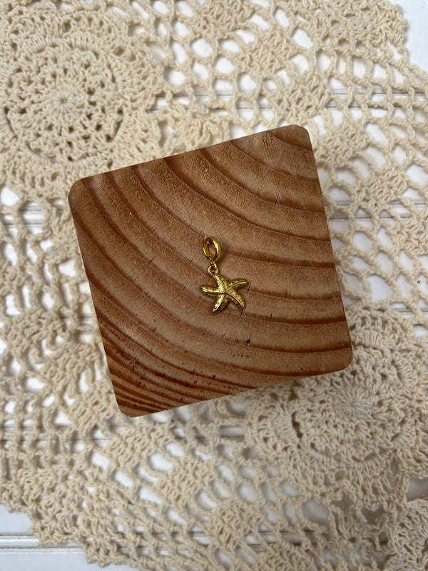 Small Bikini Sea Star Clip Charm