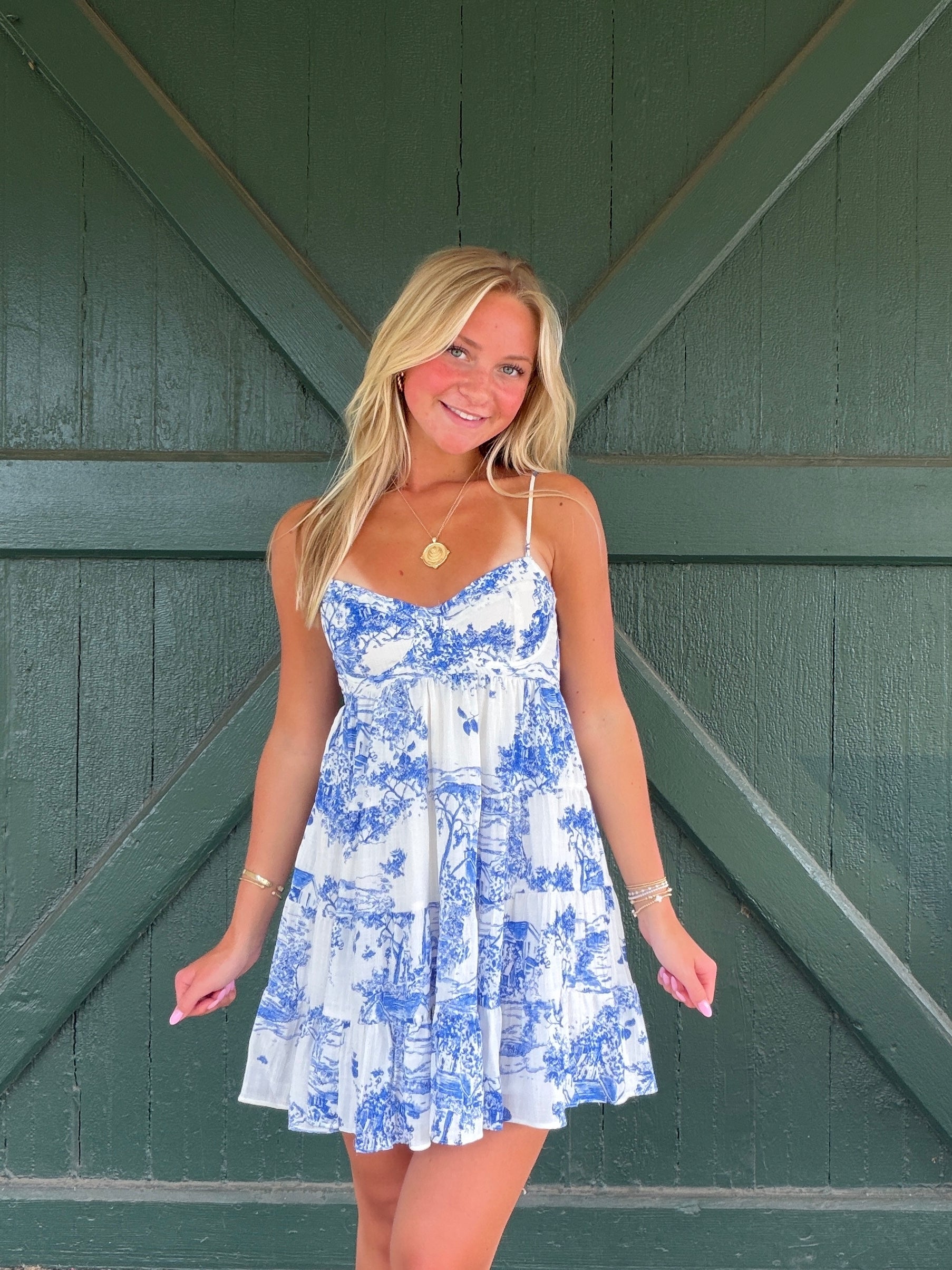 Napa Life Dress-Blue Toile