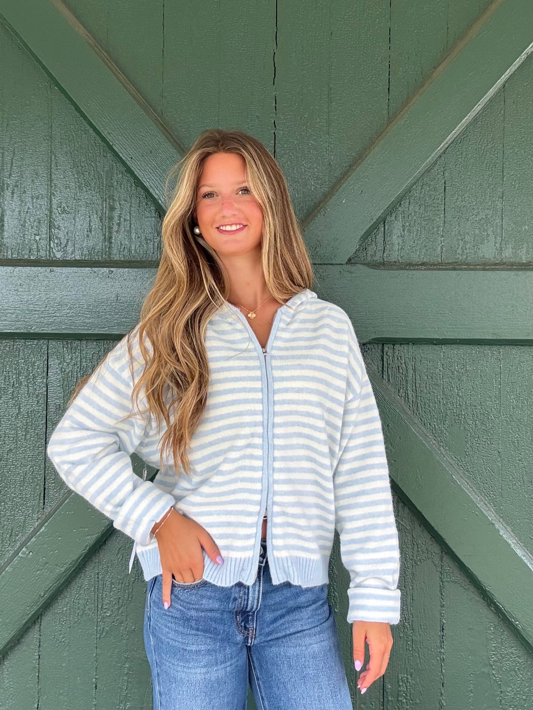 The It Girl Stripe Zip Sweater Hoodie -Baby Blue Stripe