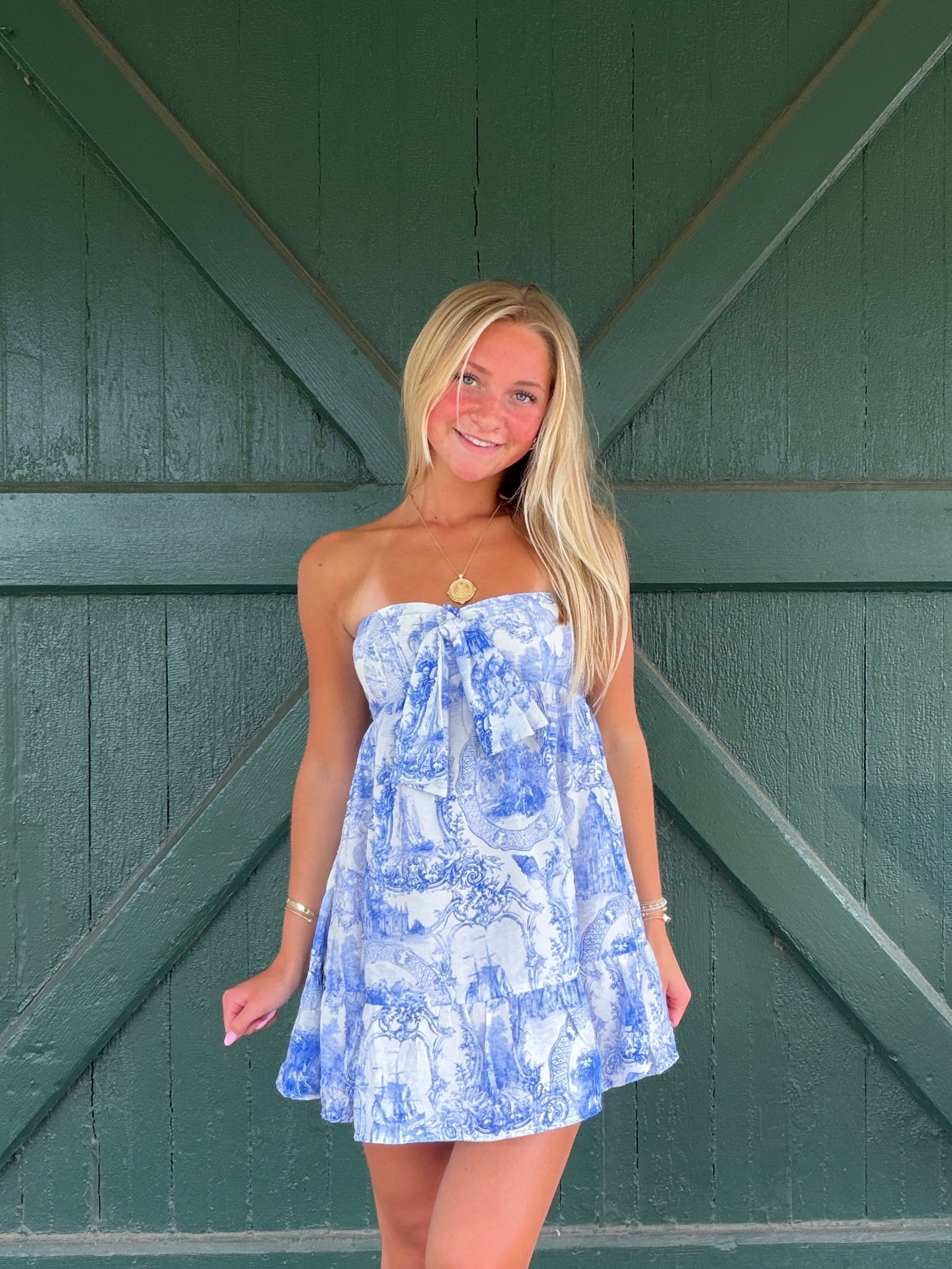 Fiona Blue Toile Strapless Mini Dress