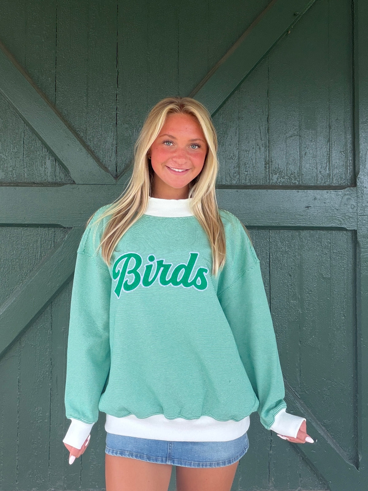 Philadelphia Eagles Birds Striped Sweatshirt – Green Game Day Pullover