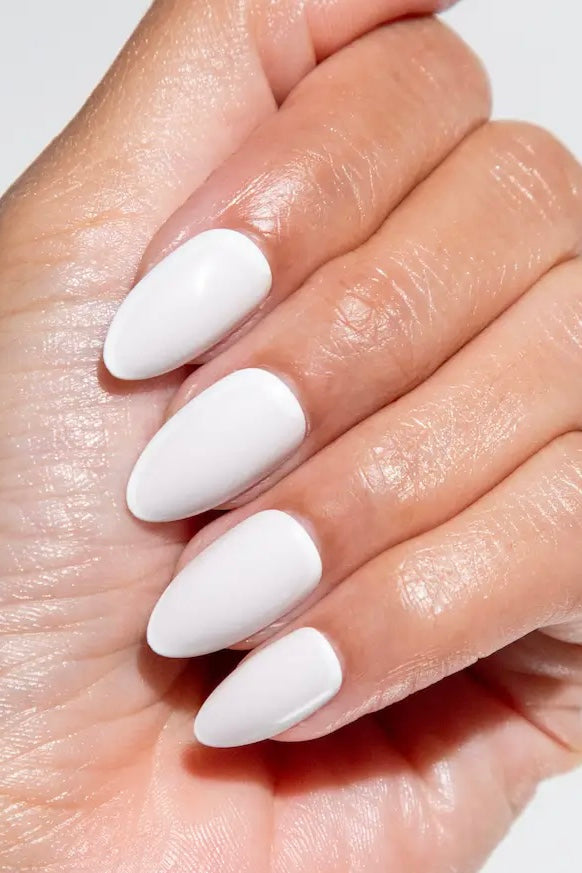 Chill House Stone Cold Fox