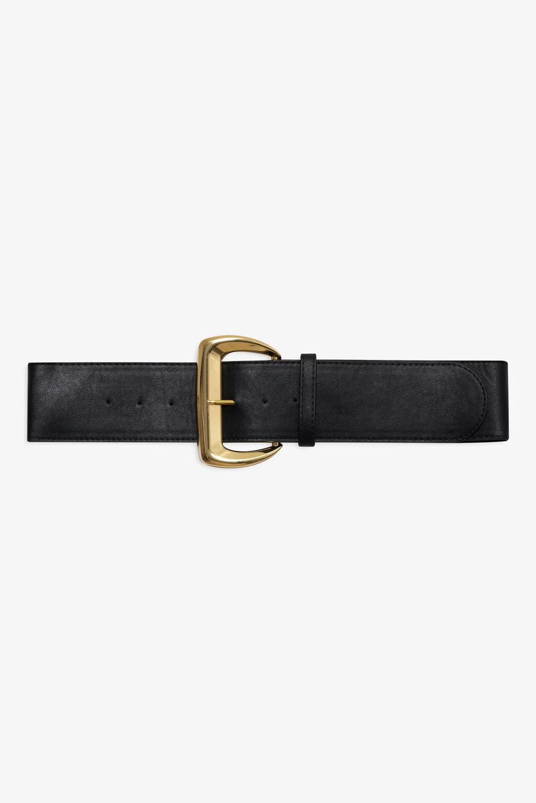 Wide Buckle Hip Belt
