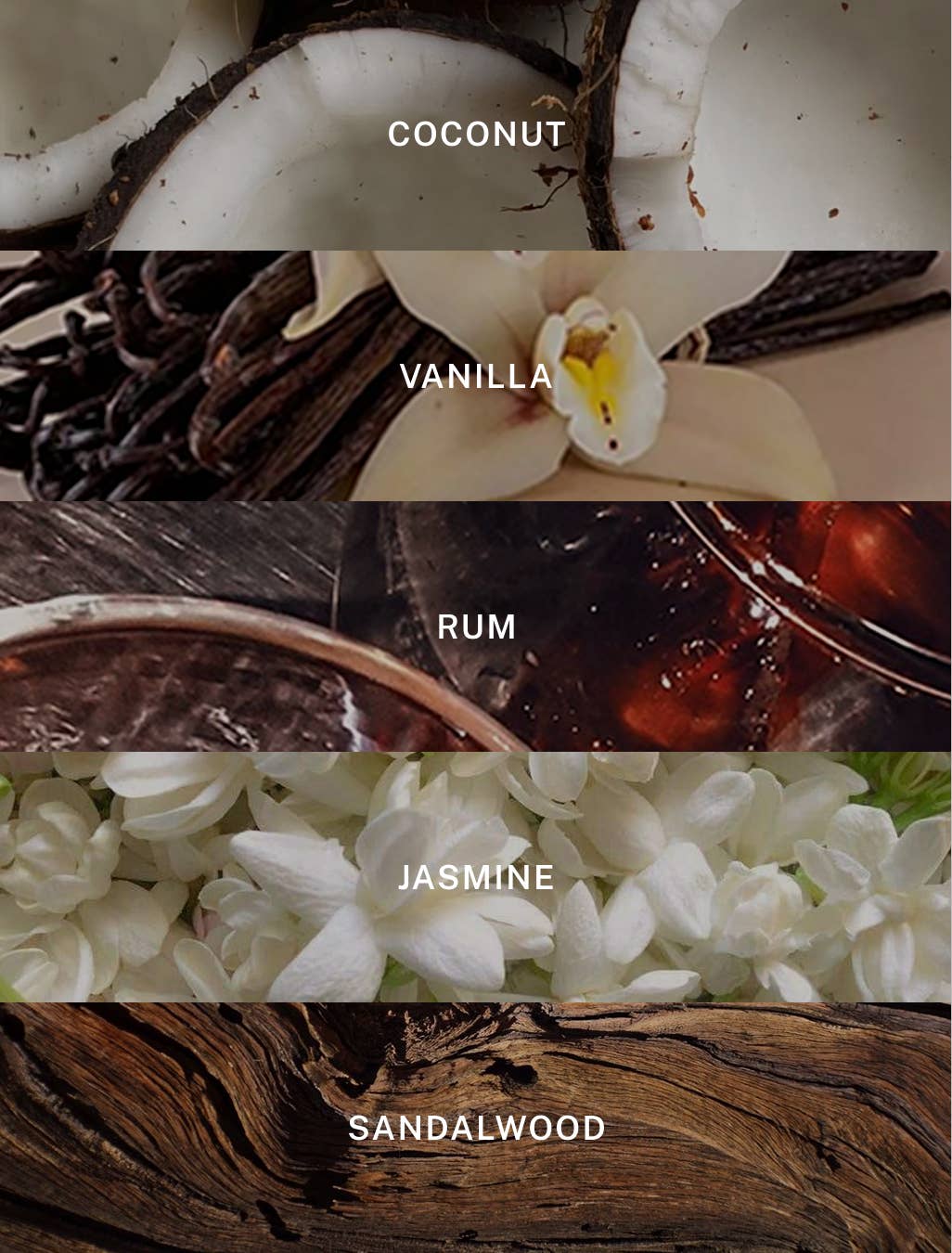 Island Luxury Coconut Soy Candle – 9.75 oz by Hotel Lobby Candle