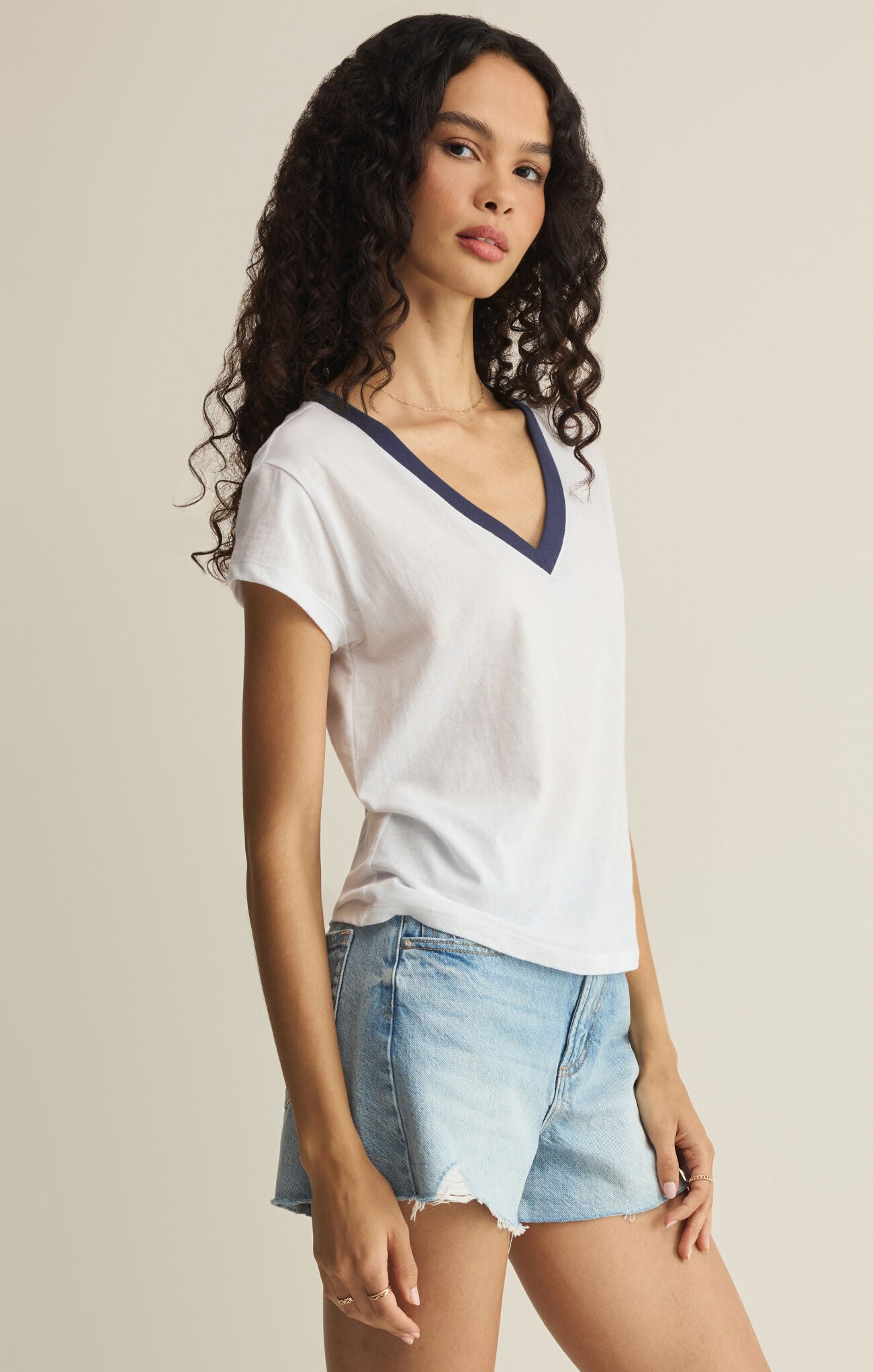 Z Supply Modern Colorblocked V-Neck Tee