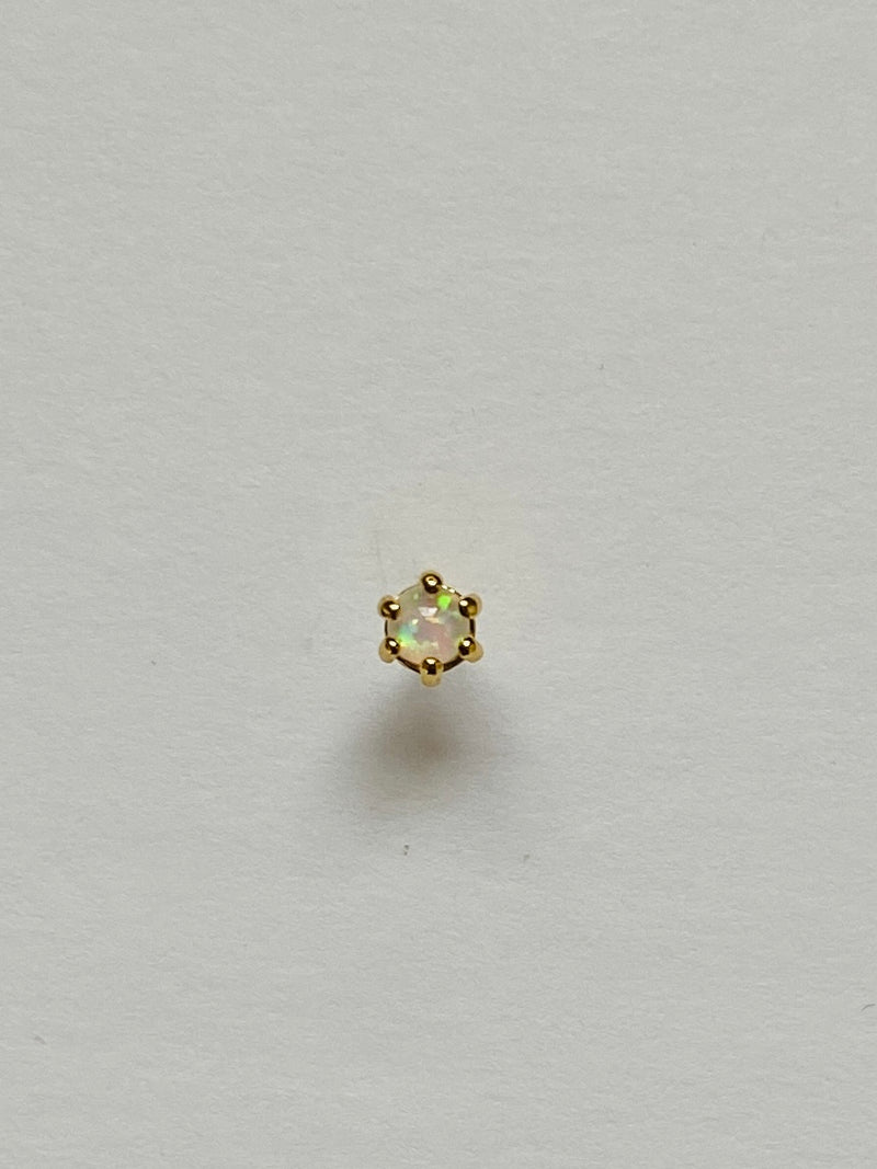 ST000019
